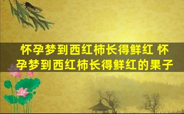 怀孕梦到西红柿长得鲜红 怀孕梦到西红柿长得鲜红的果子